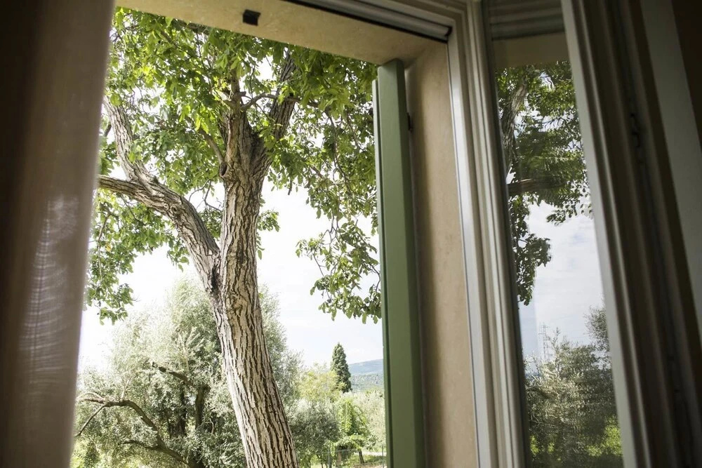 Agriturismo Canova - Général