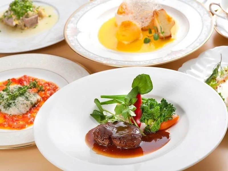 Hotel Harvest Hamanako - Général