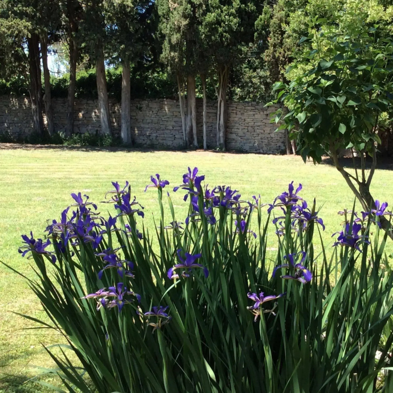 L'Hacienda
