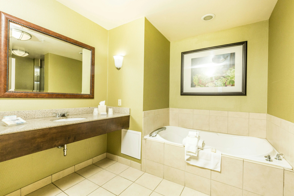 Hilton Garden Inn St. George - Général