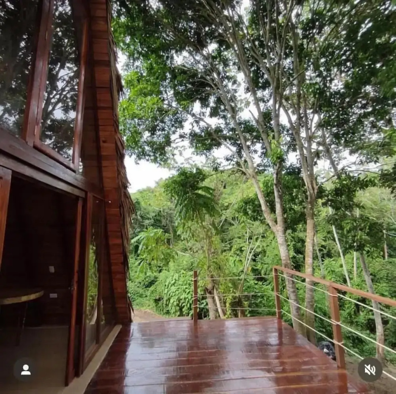 Tiny Houses Unique Tayrona