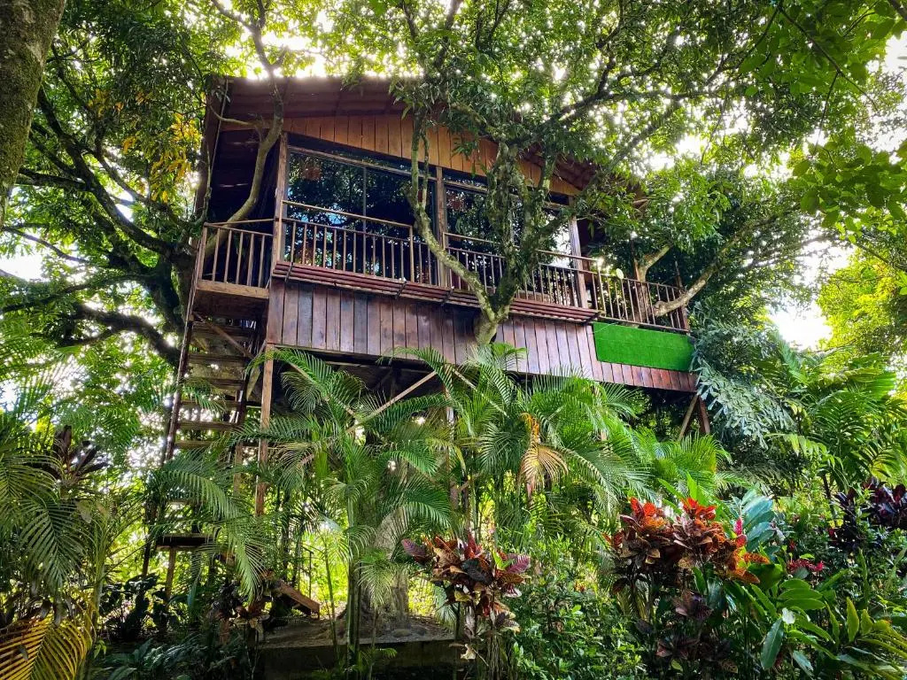 Heliconias Nature Lodge - Chambres