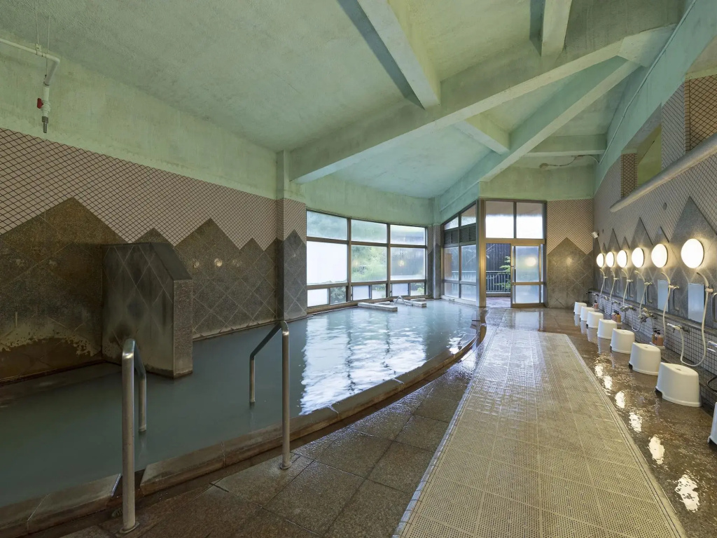 Hotel Seiunso - Général