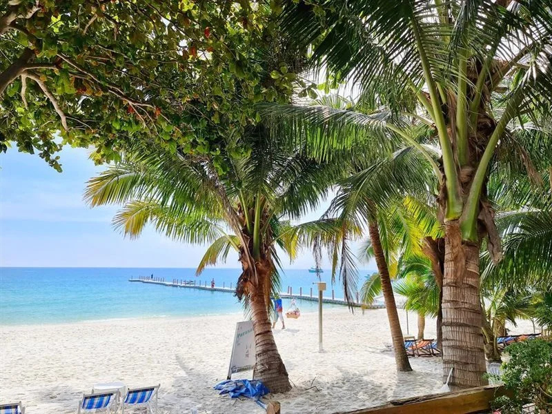 Beach & Waterfront