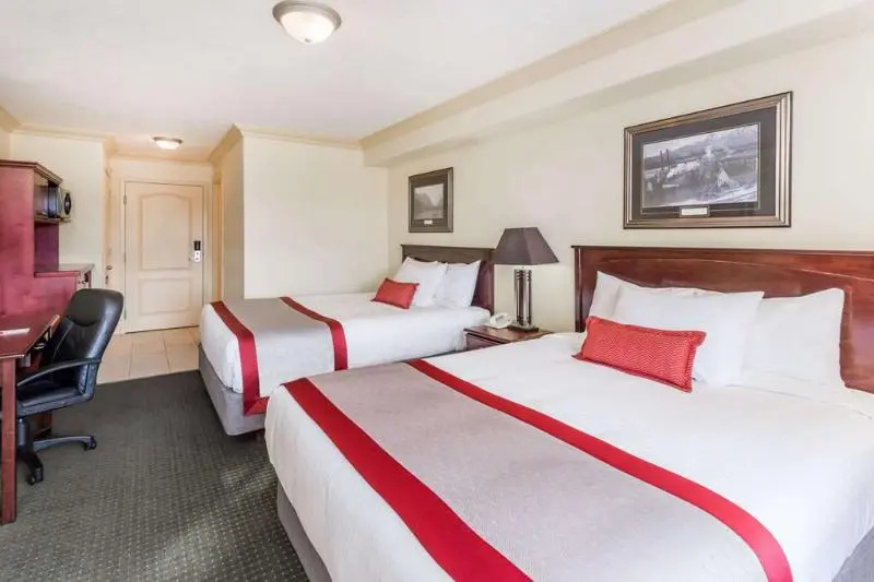 Standard Double room (twin beds)