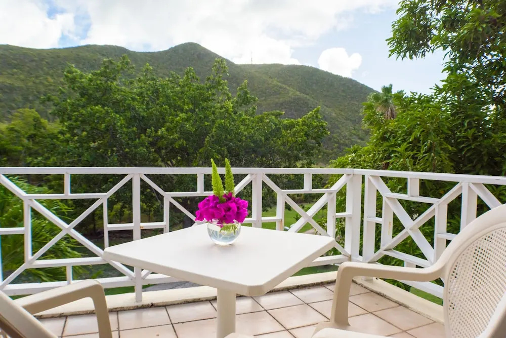 Mount Nevis Hotel - Chambres