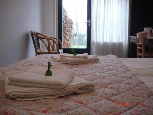 image url