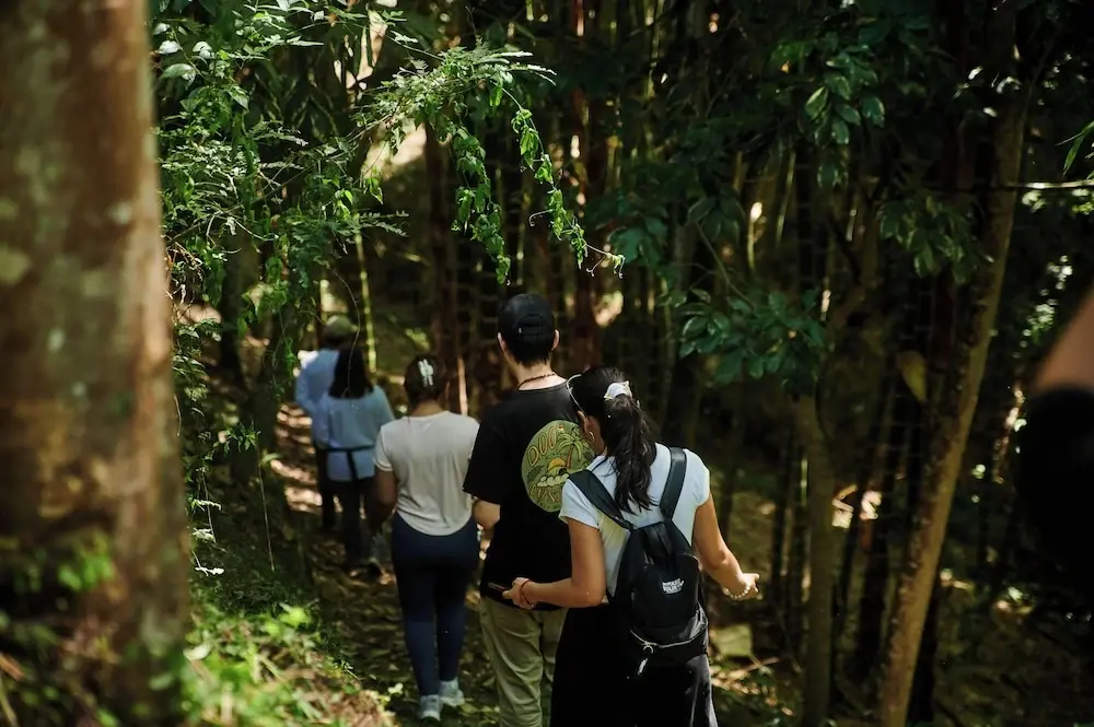 Fundo San Jose Parque Ecológico & Lodge Hotel Asociado Casa Andina - фото 33