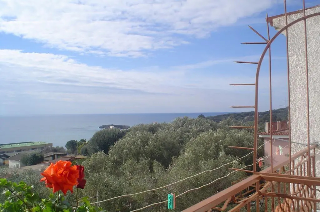 Balcony & Terrace