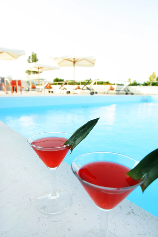 Park Hotel Alcione - Général