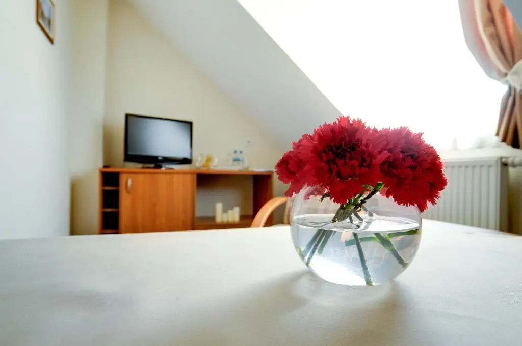 Hotel Daria - Chambres