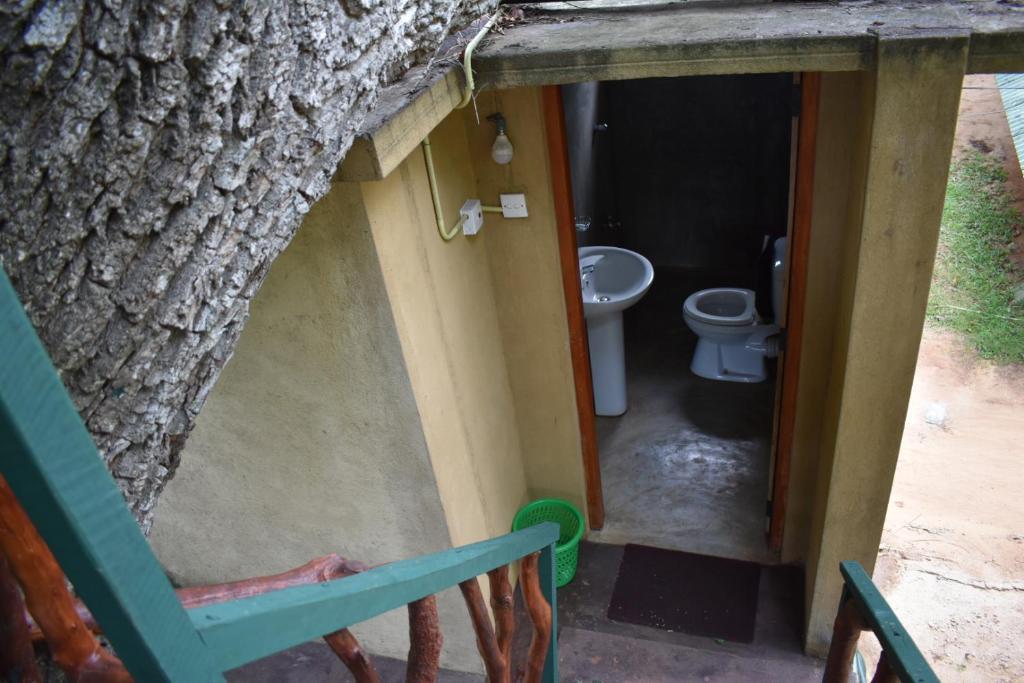 Yala Eco Tree House