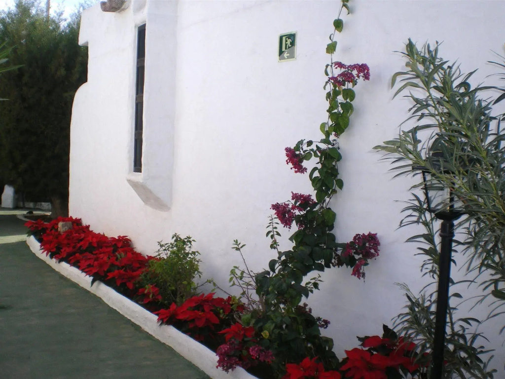 Bungalows Tenesoya