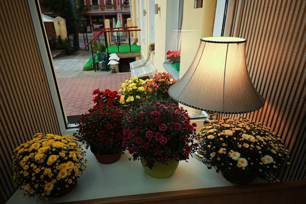Hotel photo 12