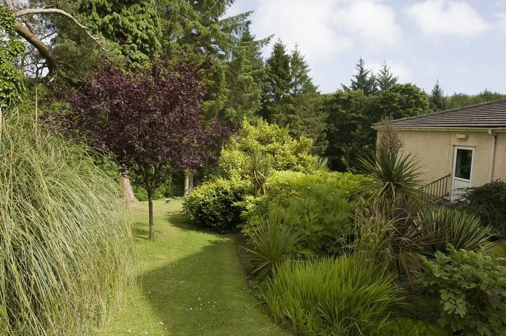 Cwmwennol Country House - Général