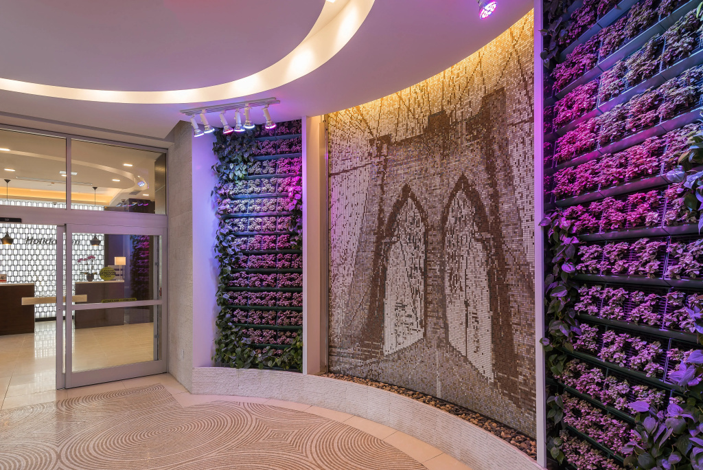 Holiday Inn Brooklyn Downtown by IHG - Général