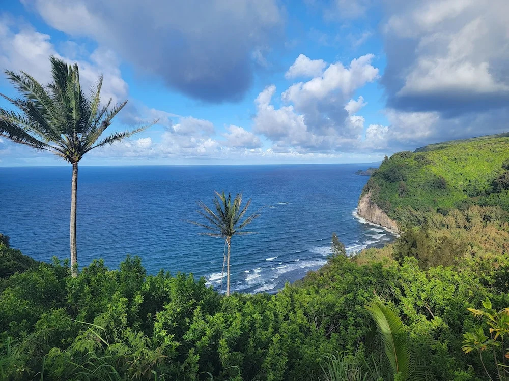 Beach & Waterfront