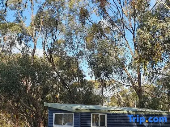 Blue Orchid Tiny House