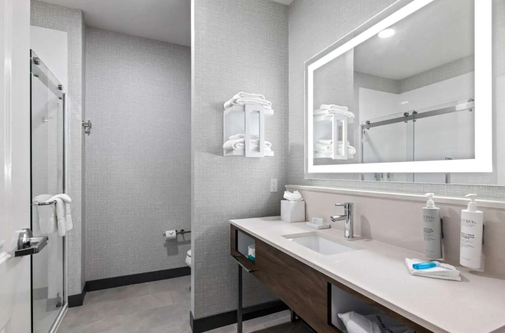 Hampton Inn & Suites Mount Pleasant - Général