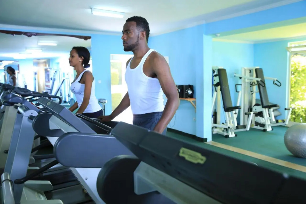 Haile Resort Ziway - Général