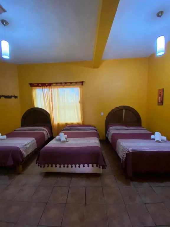 Posada la Natividad - Chambres