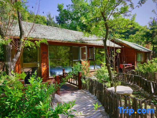 The Great Wall Courtyard Hostel by null