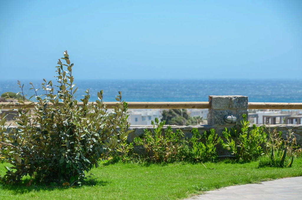 Naxos Luxury Villas - 2