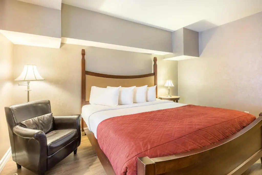 Hotel Universel - Chambres