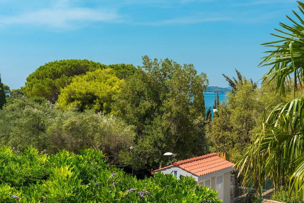 Standard Double room with courtyard view (full double bed)