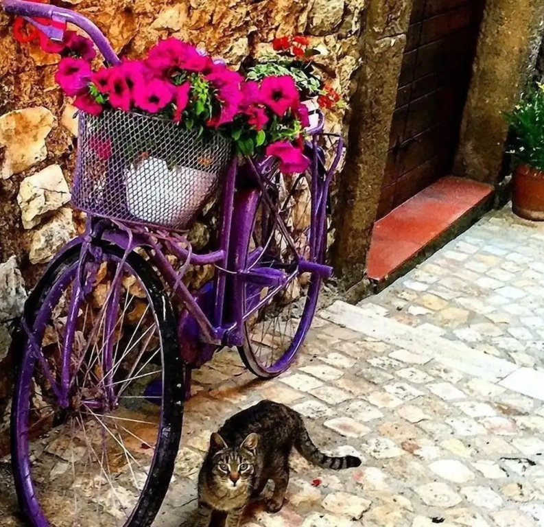 Il Borgo Antico
