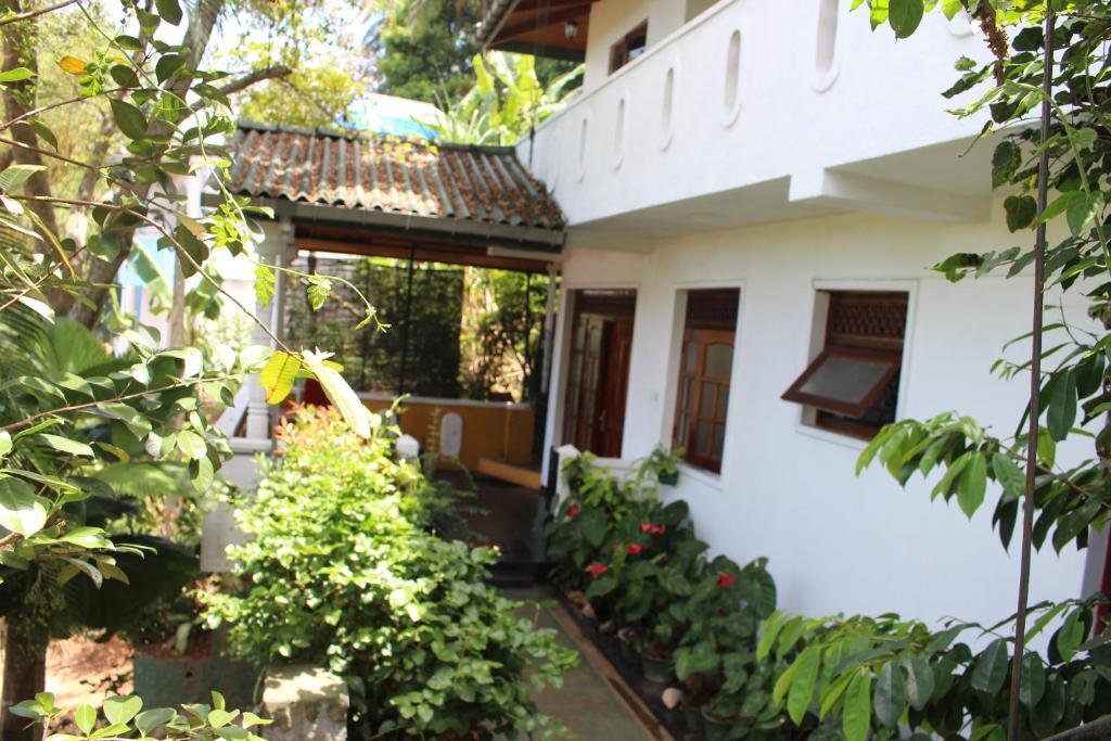 Alex Home Stay