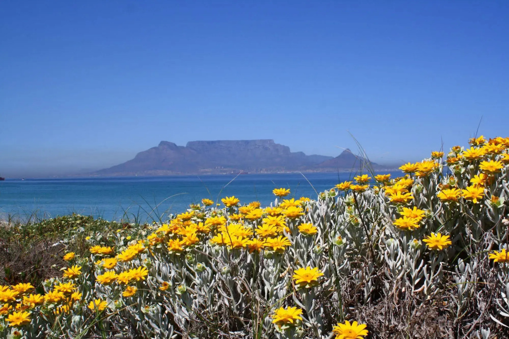 Bloubergstrand Sunset Lodge - Général