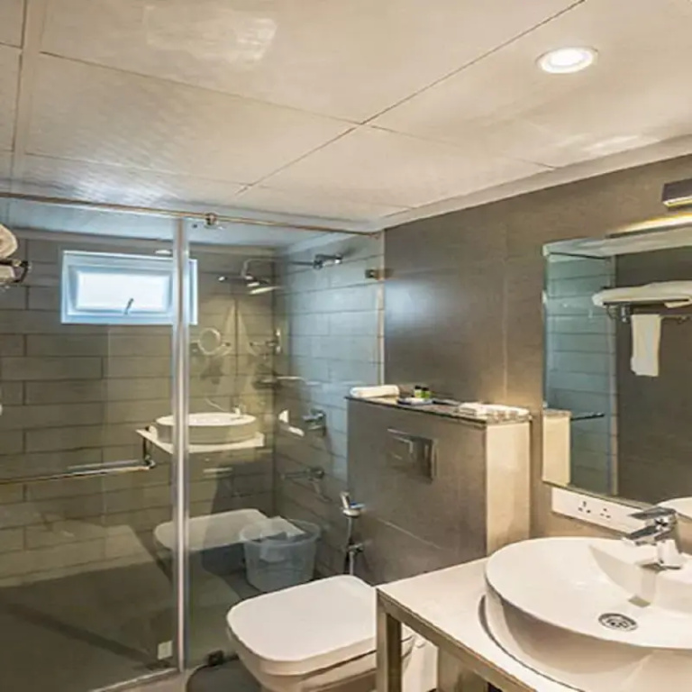 Deluxe Double room (full double bed)