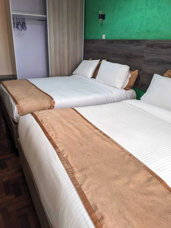 Deluxe Double room (twin beds)