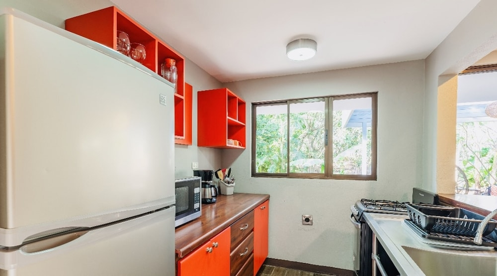 Relaxing Sound of River Birds Squirrels - фото 16