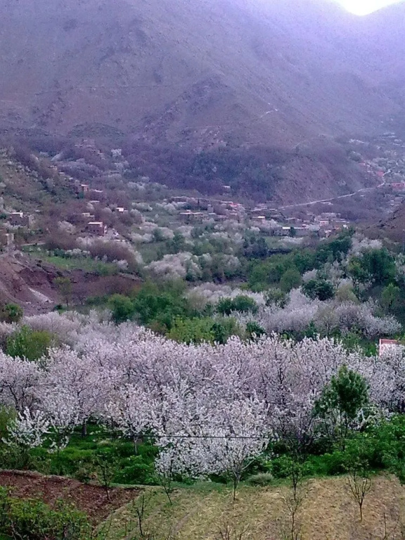 Dar Tighoula