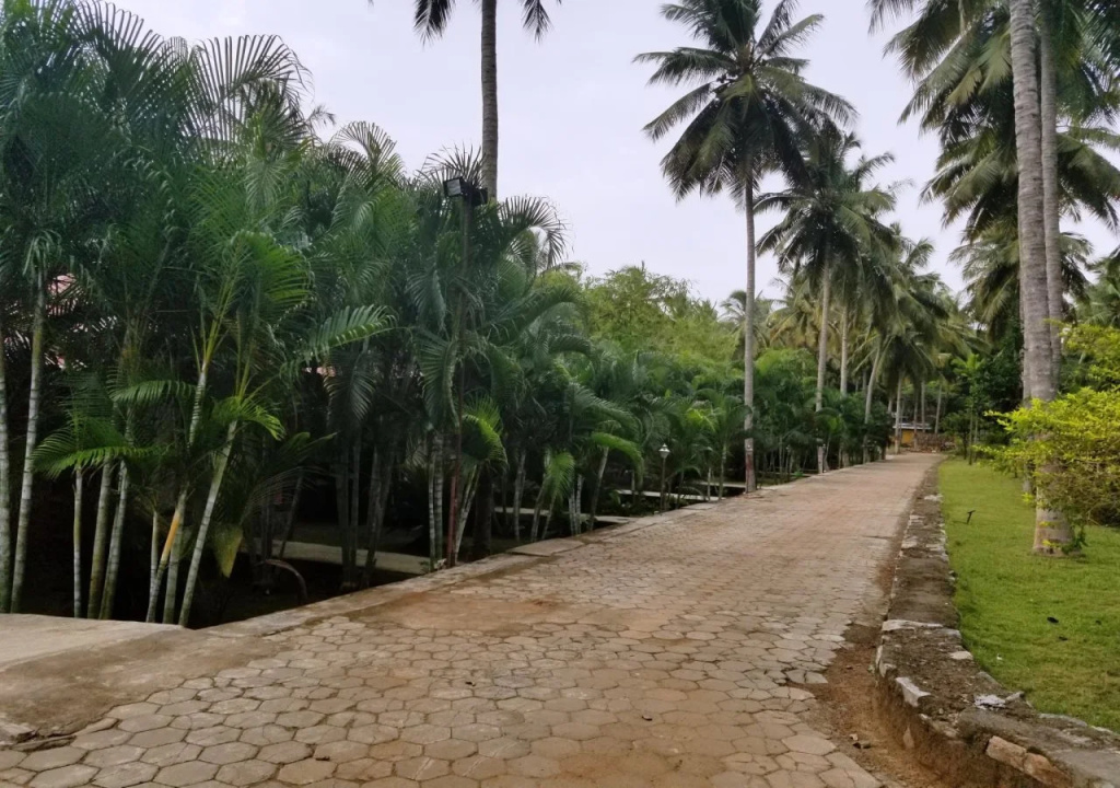 Beach & Waterfront