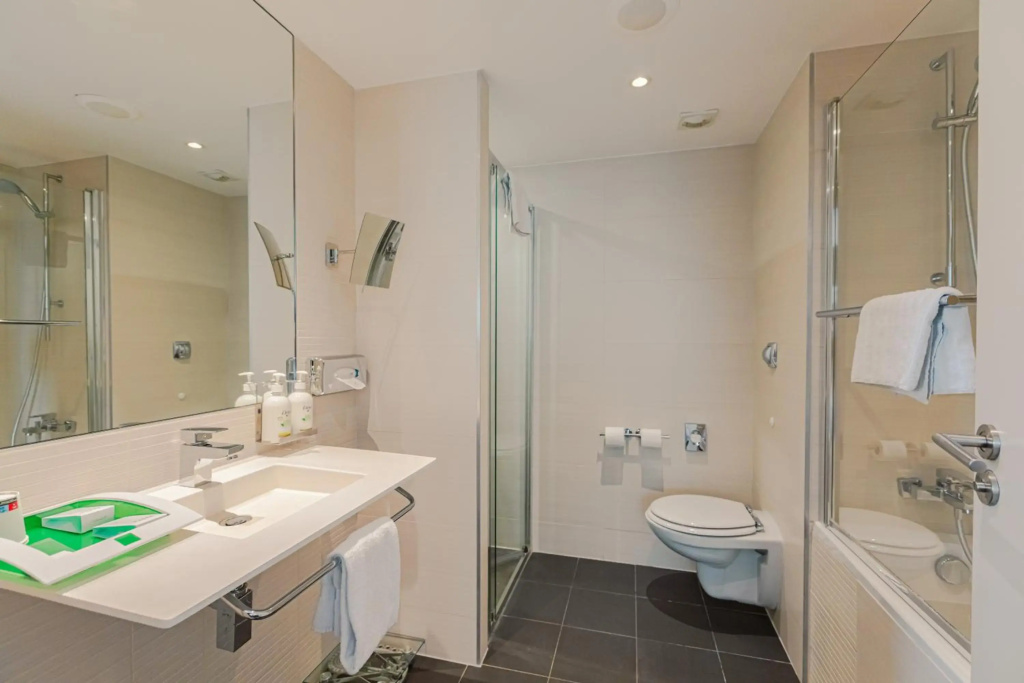 Holiday Inn Mulhouse by IHG - Général