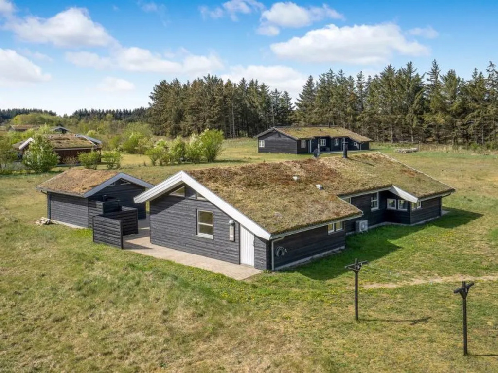 "Abetzi" - 1.5km from the sea in NW Jutland