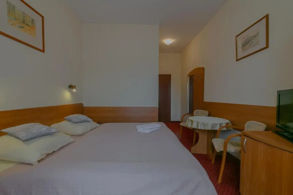 Standard Double room (full double bed)