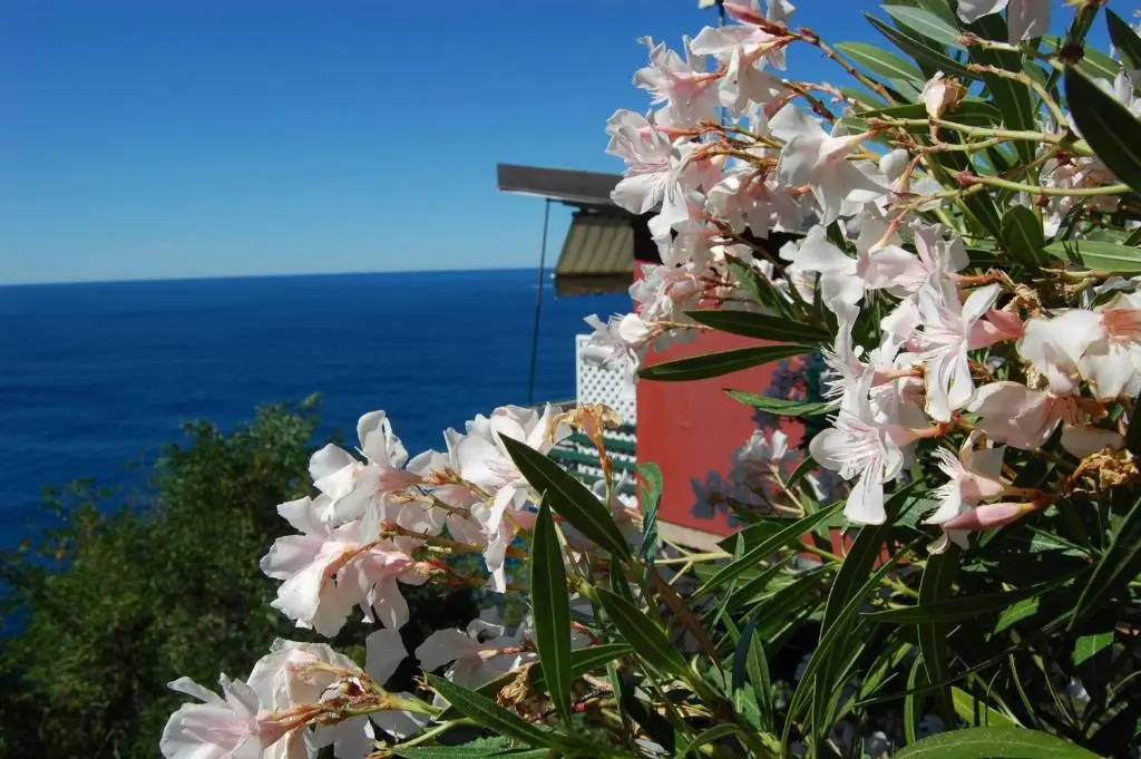 Resort La Francesca - Chambres