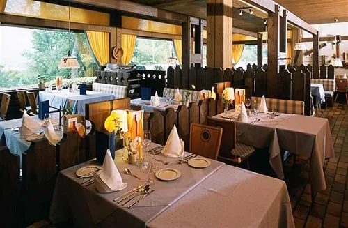 Arcadia Hotel Sonnenhof Grafenau - Général
