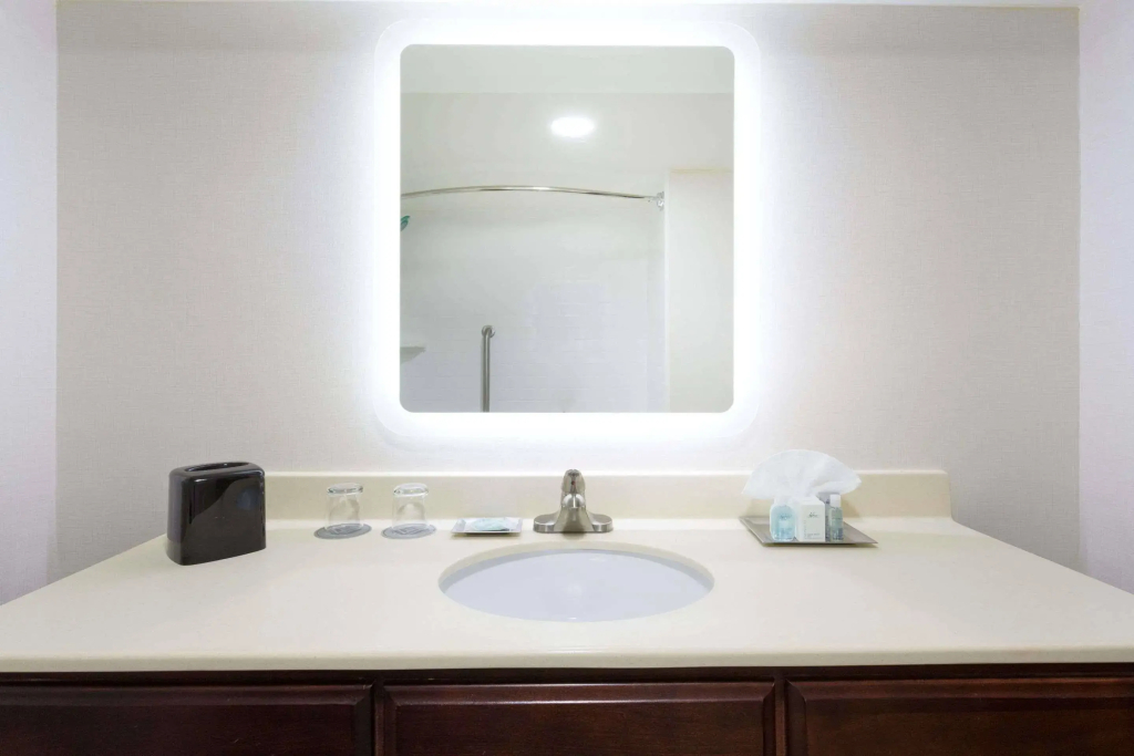 Hampton Inn Greenville Airport - фото 50