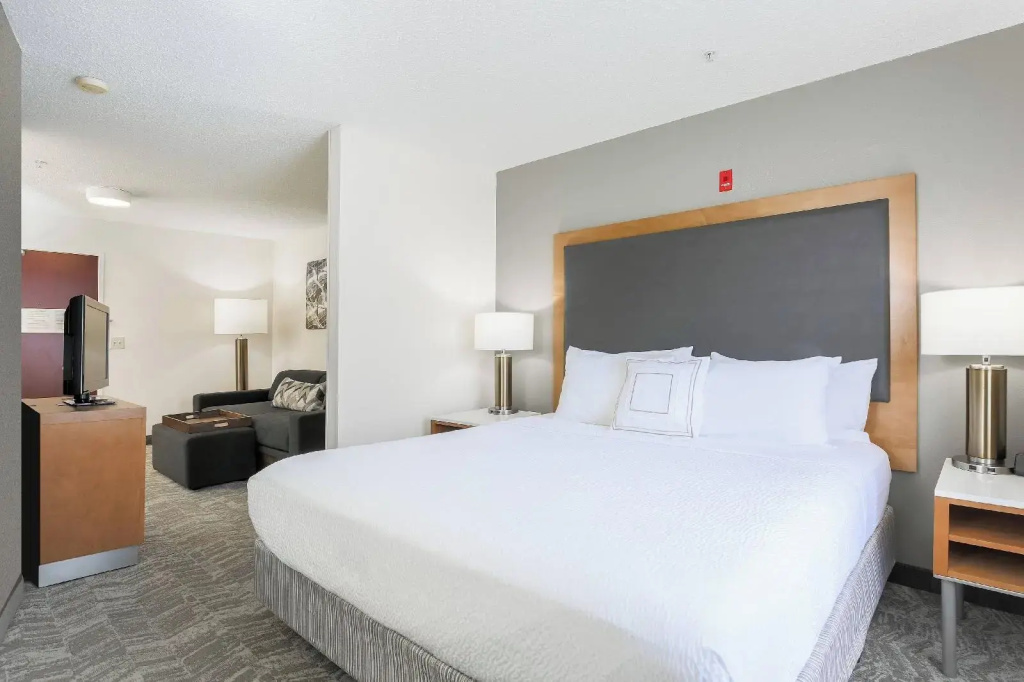 Springhill Suites By Marriott Houston Brookhollow - Général