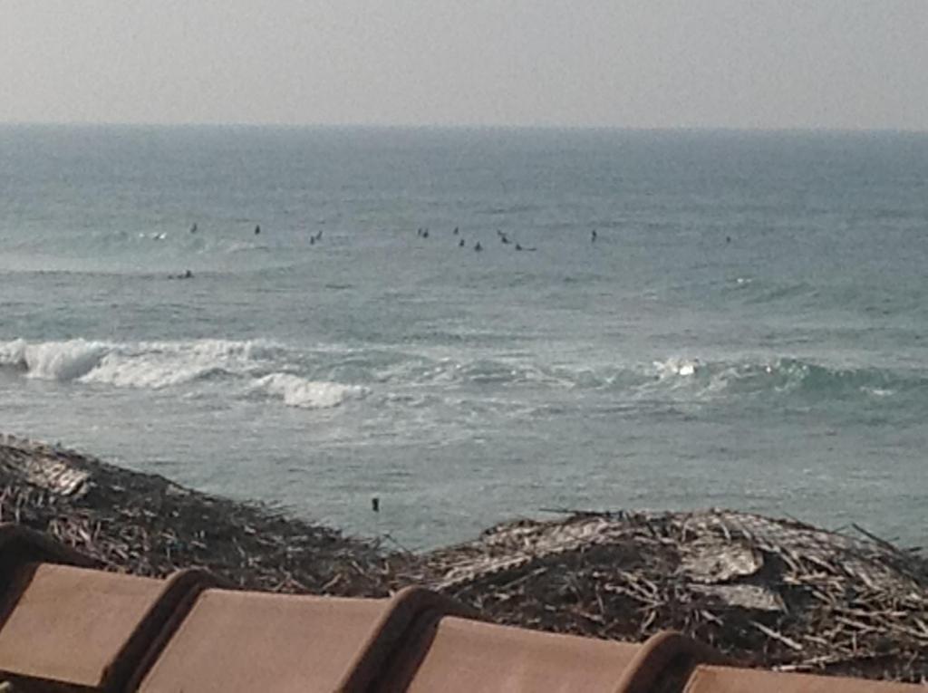 Budde's Beach Restaurant & Guesthouse