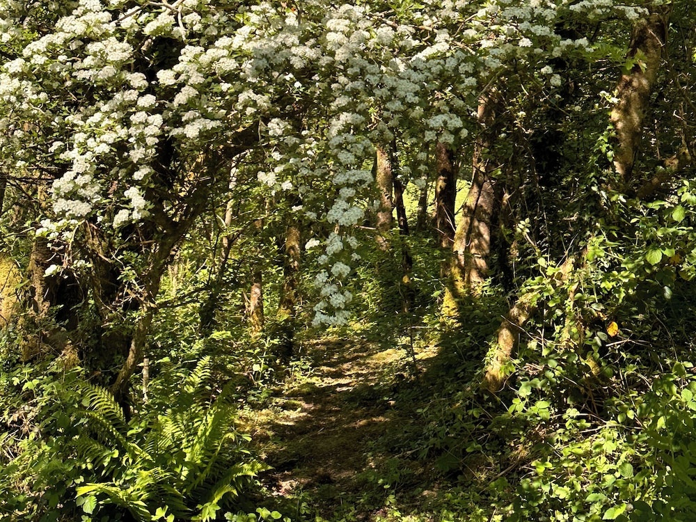 Onnen — 3