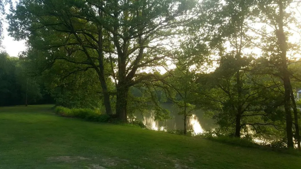 Voir la photo 2 — Camping de la Reuille
