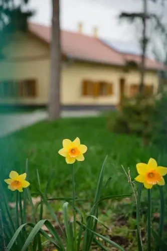 Török Vendégház - фото 7