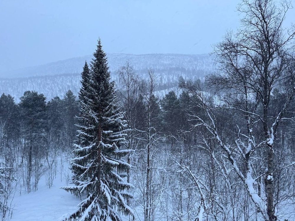 Onga Lodge