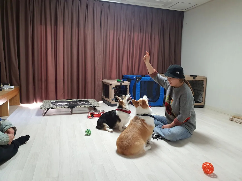 Hongik Jeju Hotel - Chambres
